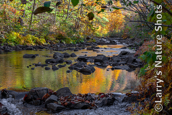 Autumn on Passage Creek